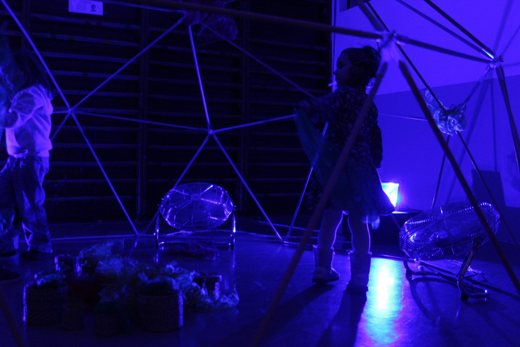 Vista desde el interior de una estructura reticular azul con cuerpos y materiales suspendidos.