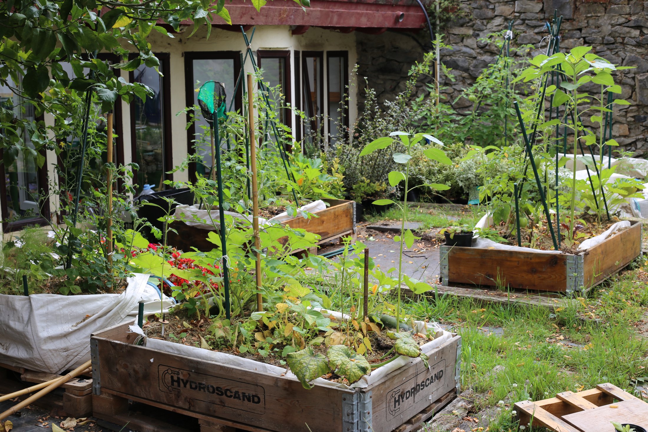 La Casa de los Naturalistas · 01 · La casa y su paisaje · imagen 6.
