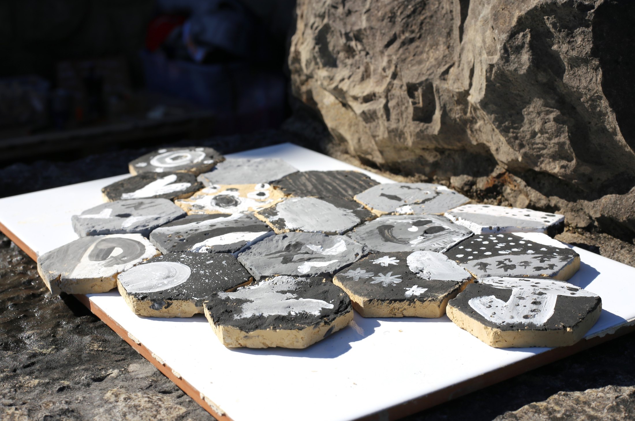 La Casa de los Naturalistas · 02 · Materias para investigar · imagen 12.