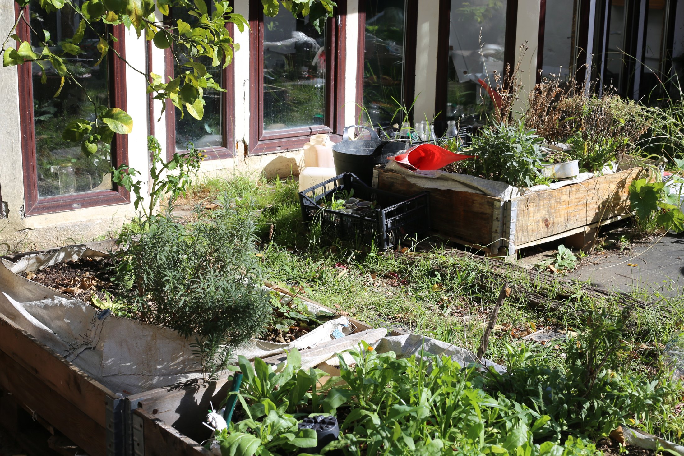 La Casa de los Naturalistas · 03 · La naturaleza se cultiva · imagen 38.