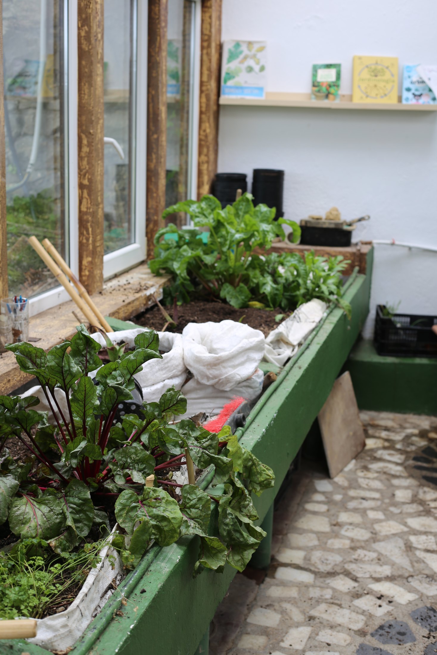 La Casa de los Naturalistas · 03 · La naturaleza se cultiva · imagen 43.