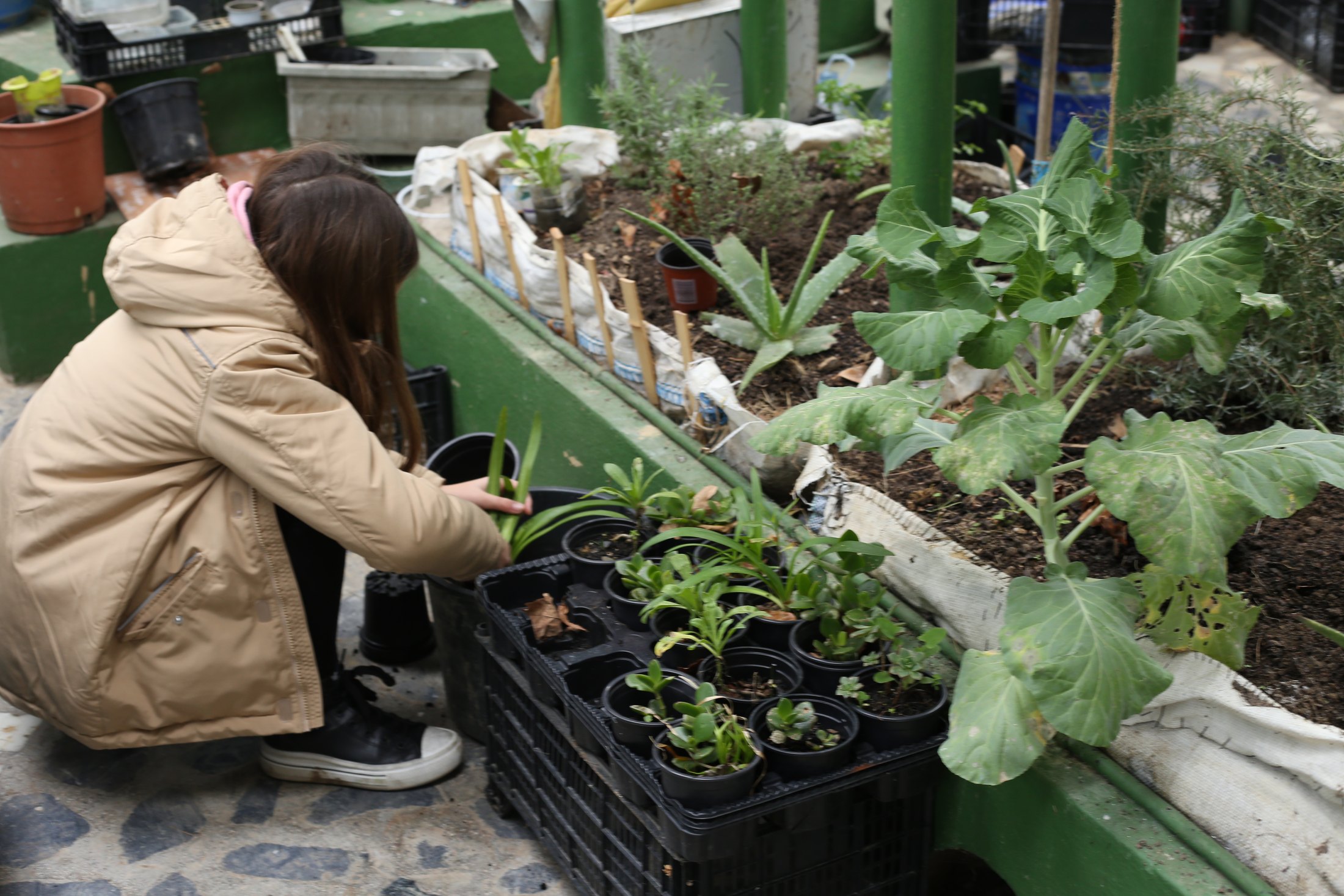 La Casa de los Naturalistas · 03 · La naturaleza se cultiva · imagen 53.