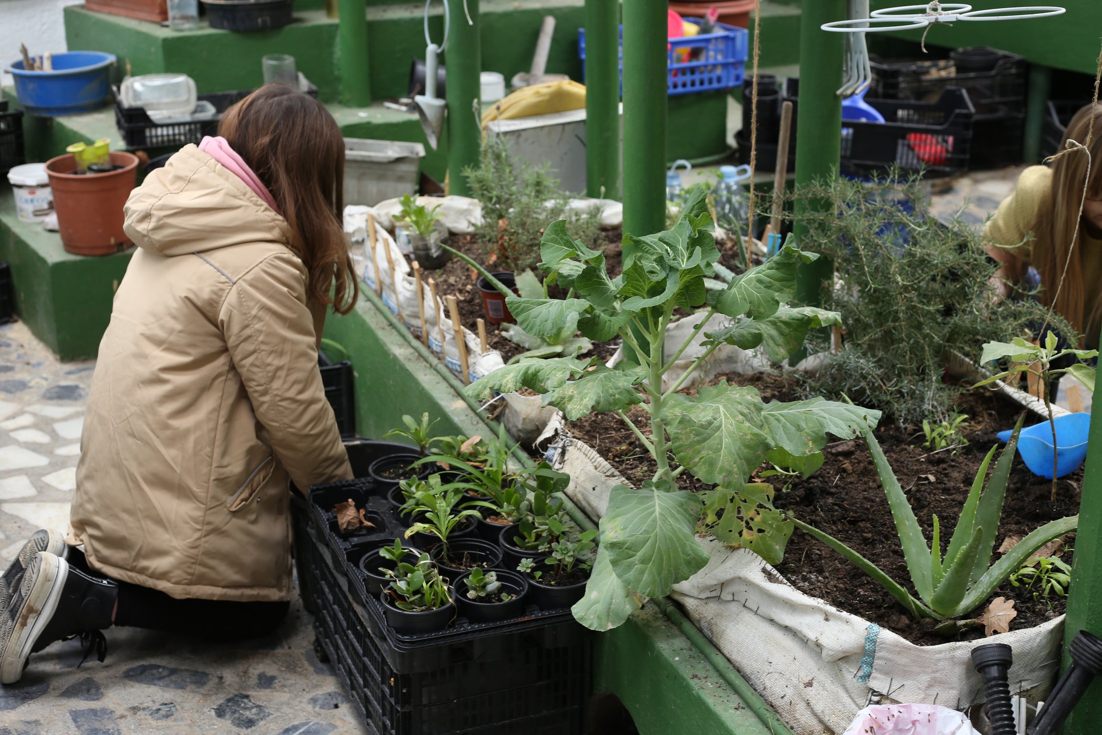 La Casa de los Naturalistas · 03 · La naturaleza se cultiva · imagen 54.