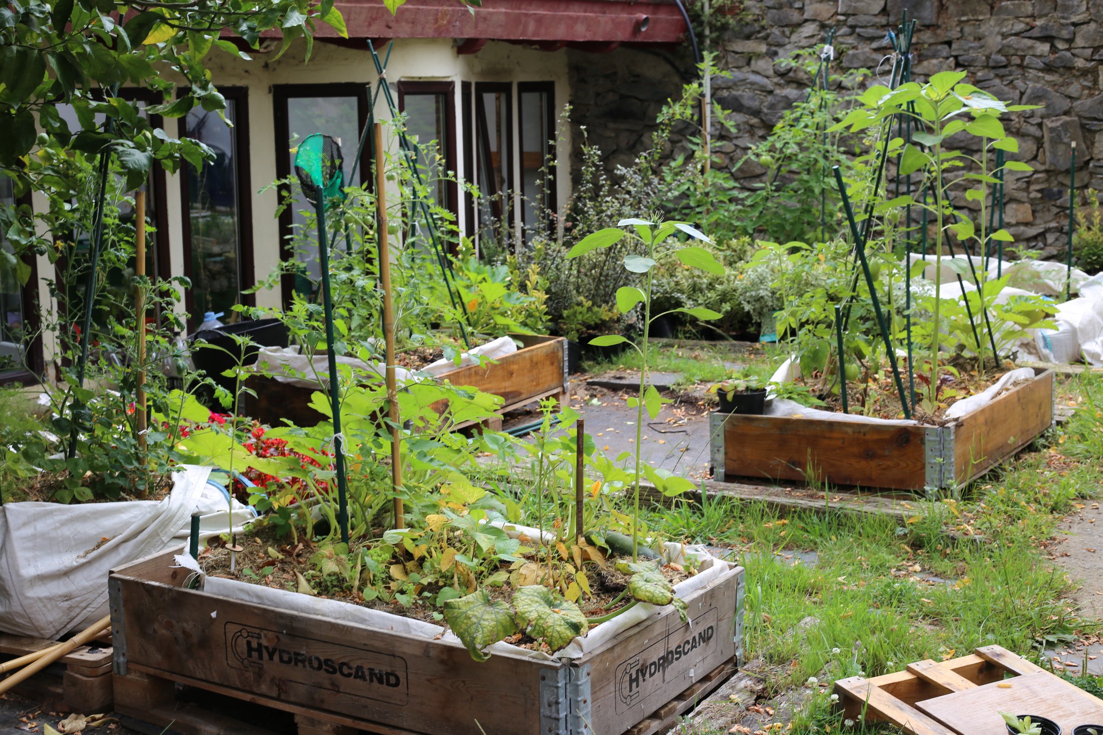 La Casa de los Naturalistas · 03 · La naturaleza se cultiva · imagen 58.