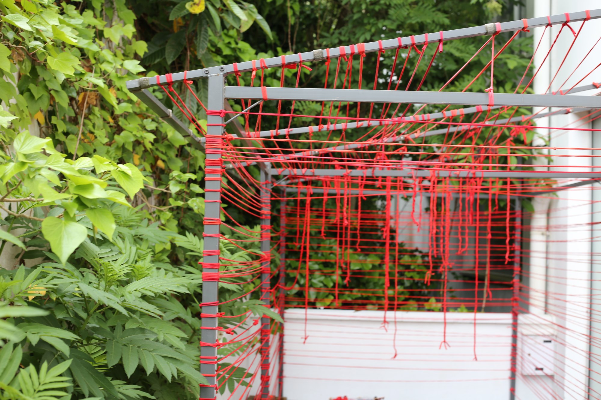 Espacio Chinchapapa · Jardín + exterior, imagen 31.