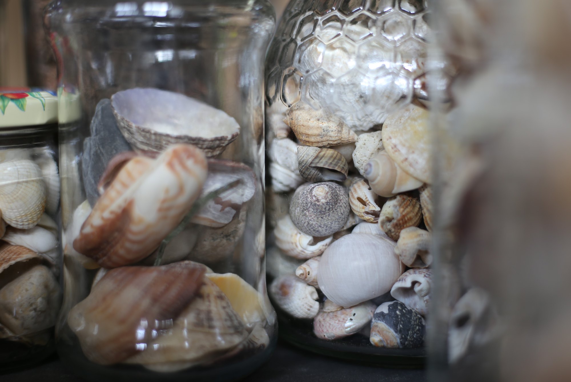 Materioteca Chinchapapa · imagen 27.