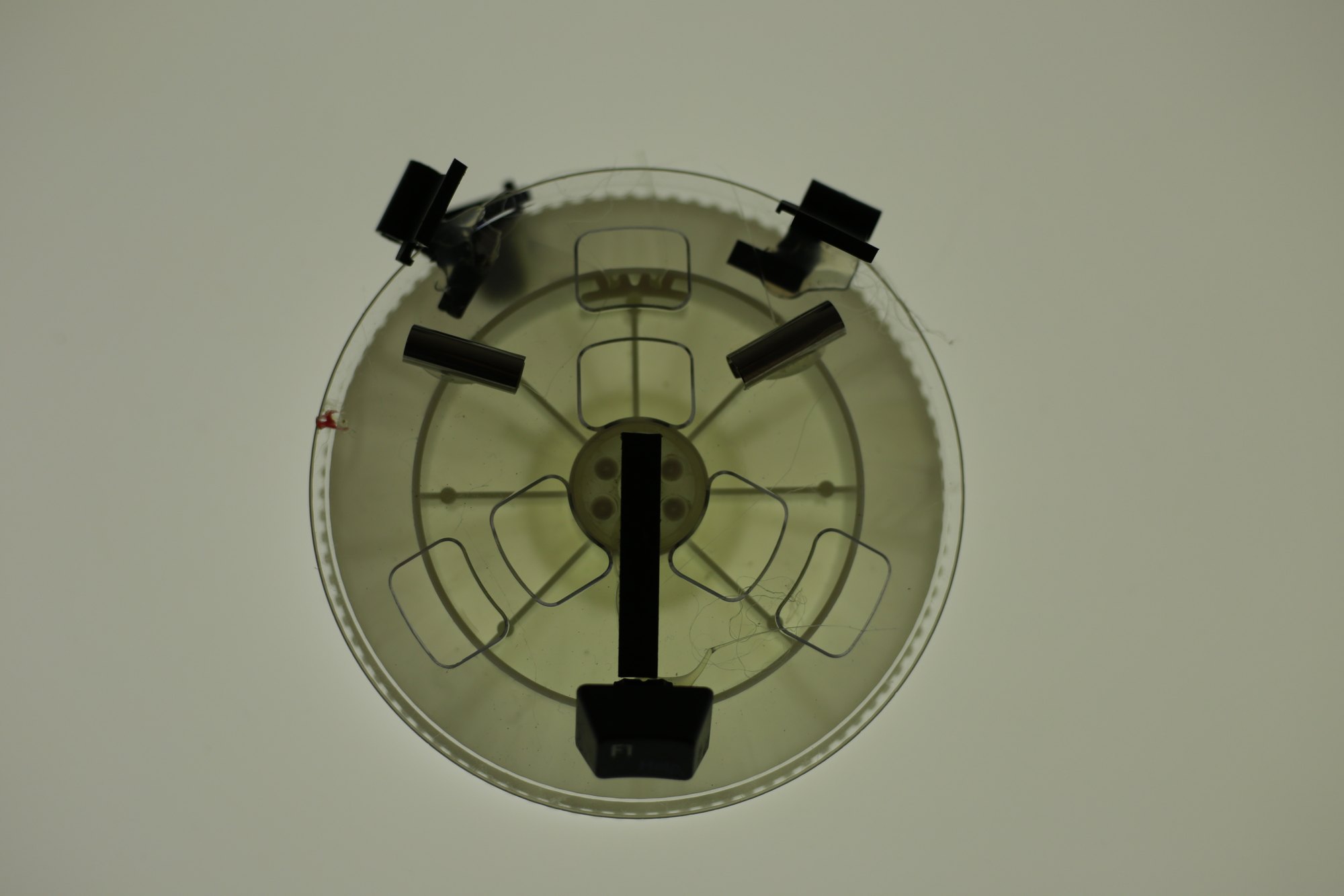 Espacio Chinchapapa · Objetoteca, imagen 3.