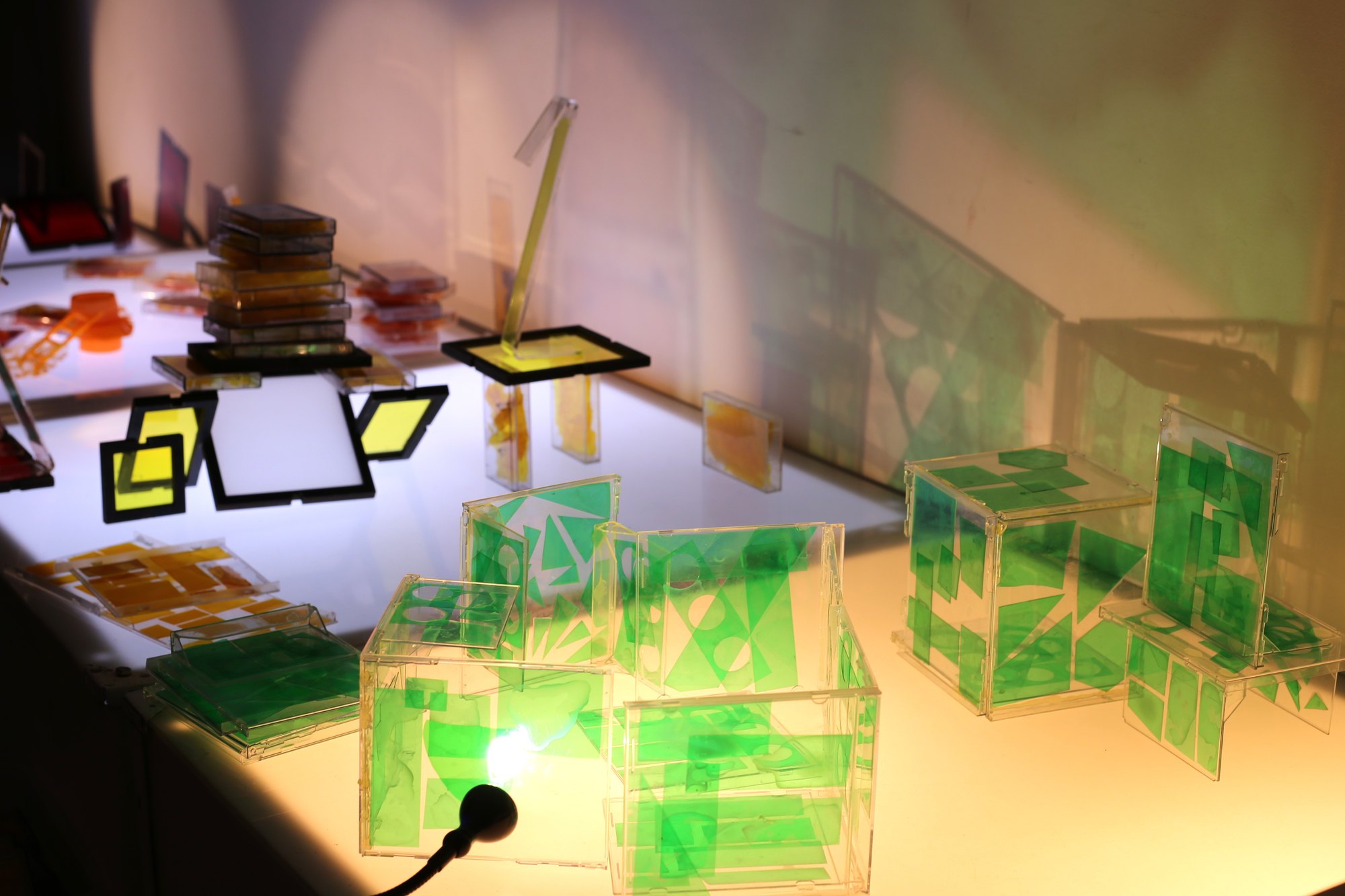 Espacio Chinchapapa · Sala Metamorfosis, imagen 3.