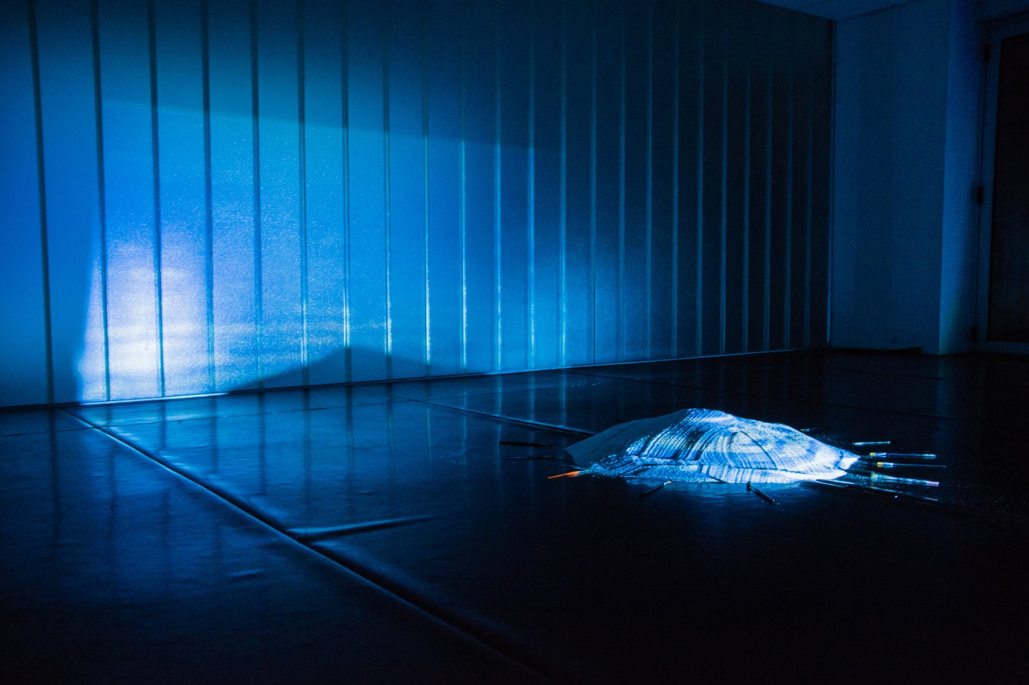Espacio Chinchapapa · Sala Metamorfosis, imagen 9.