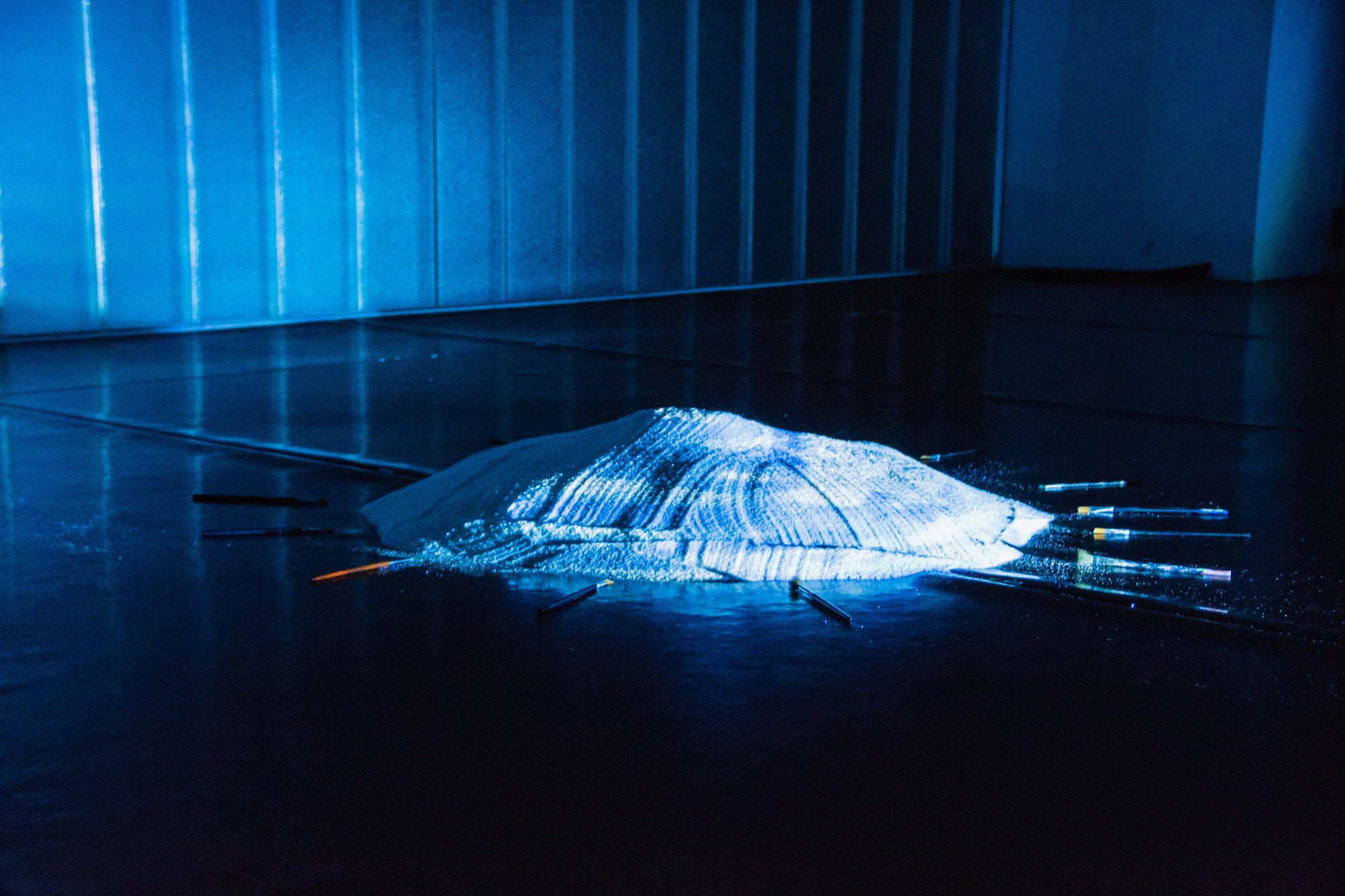 Espacio Chinchapapa · Sala Metamorfosis, imagen 10.