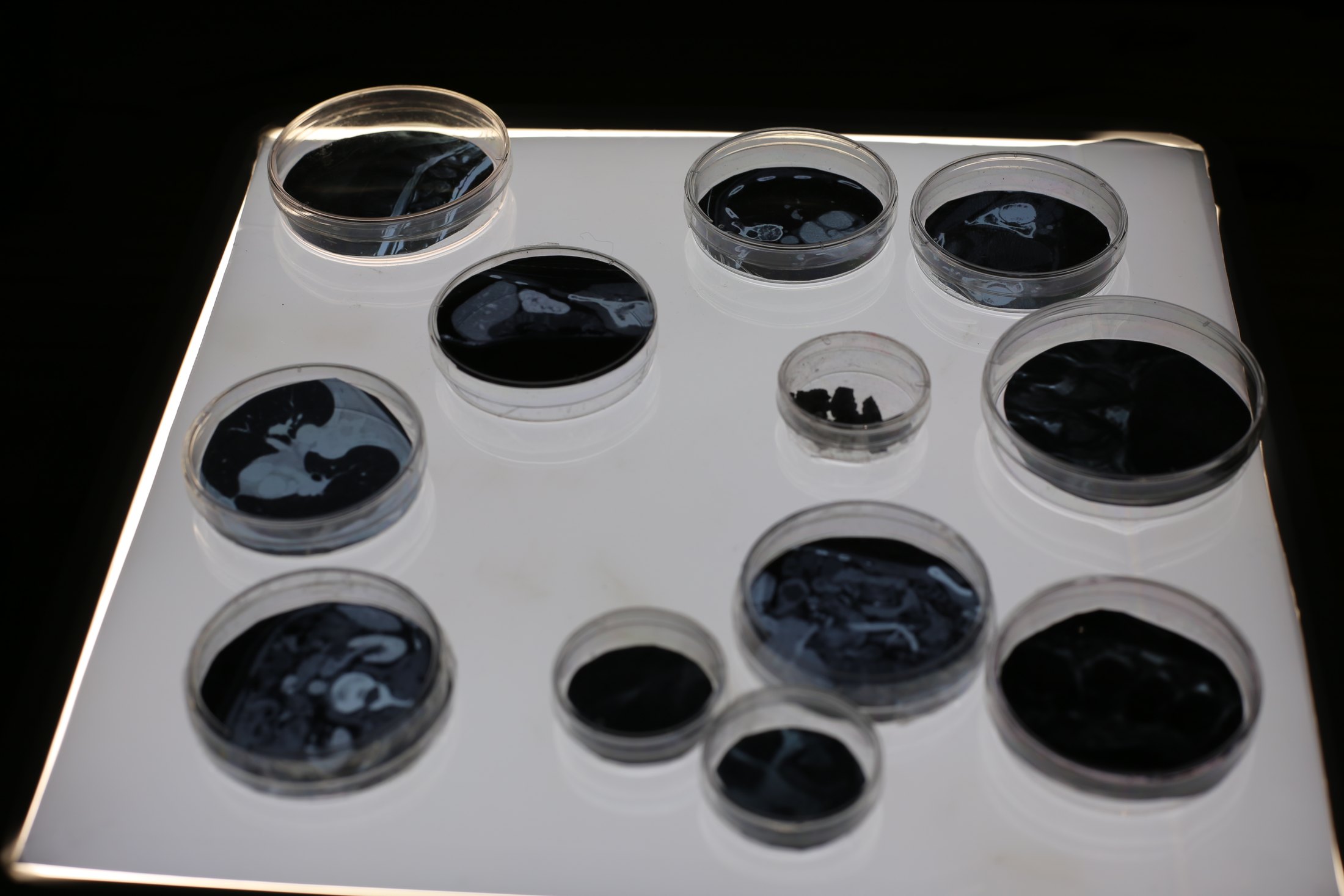 Descubre H₂O · 02 · Agua, luz y transparencia · imagen 14.