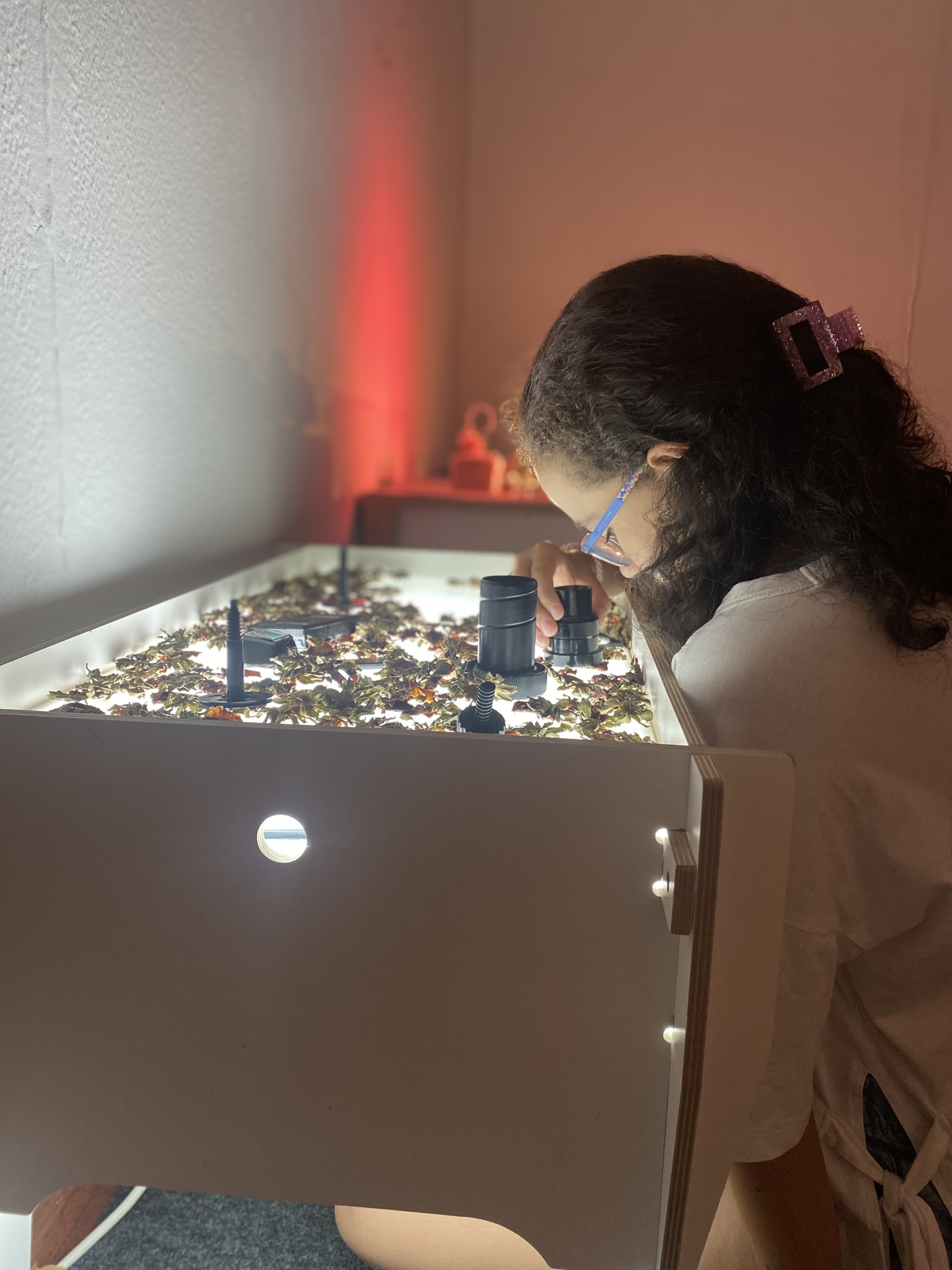 Imaxinar · registro 15