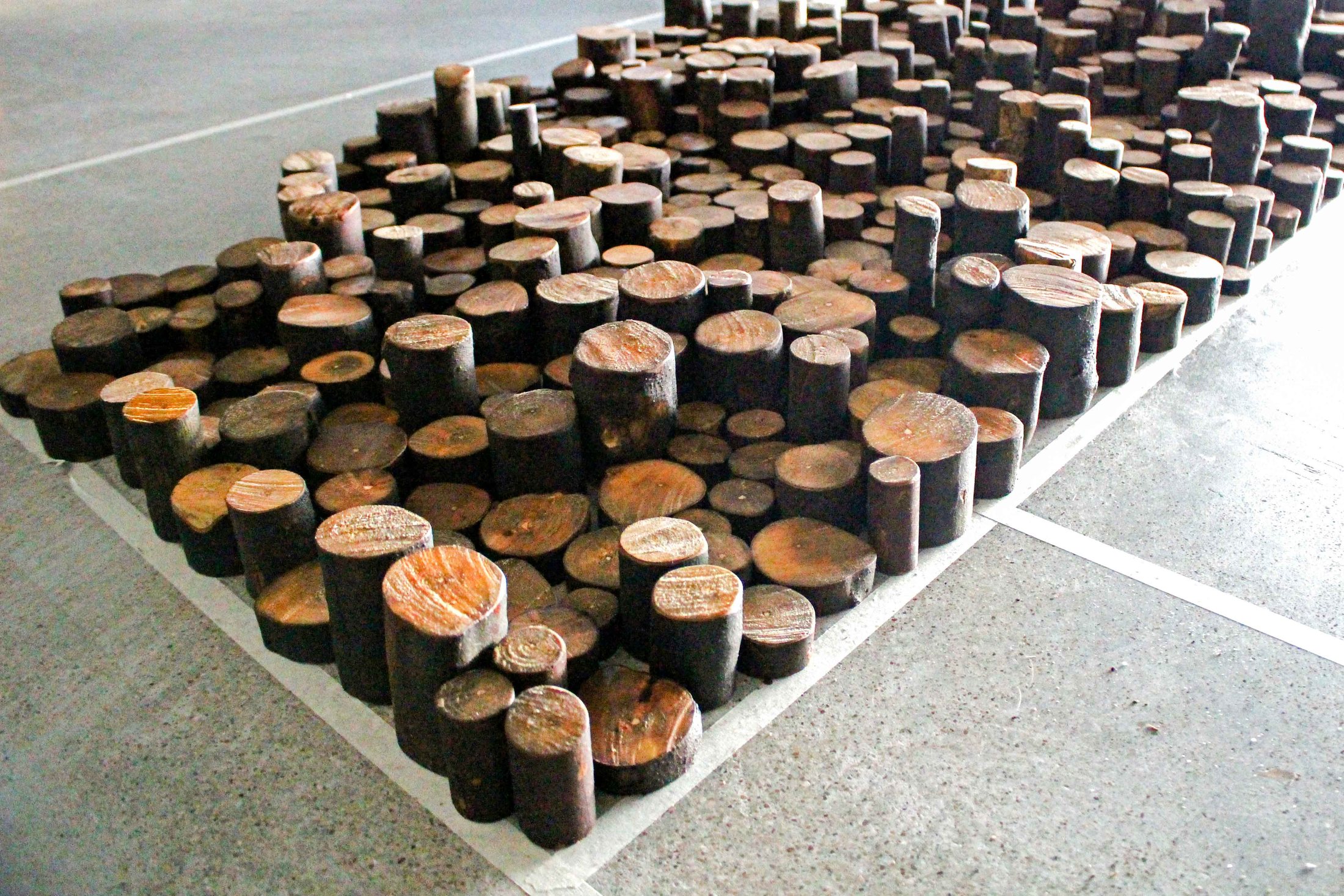 Laboratorio Serendipia · CONTINUIDAD Y EVOLUCIÓN · imagen 99.