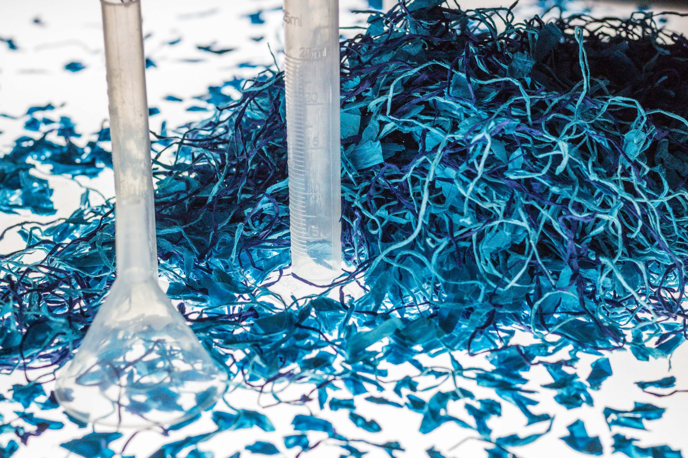 Laboratorio Serendipia · CONTINUIDAD Y EVOLUCIÓN · imagen 112.