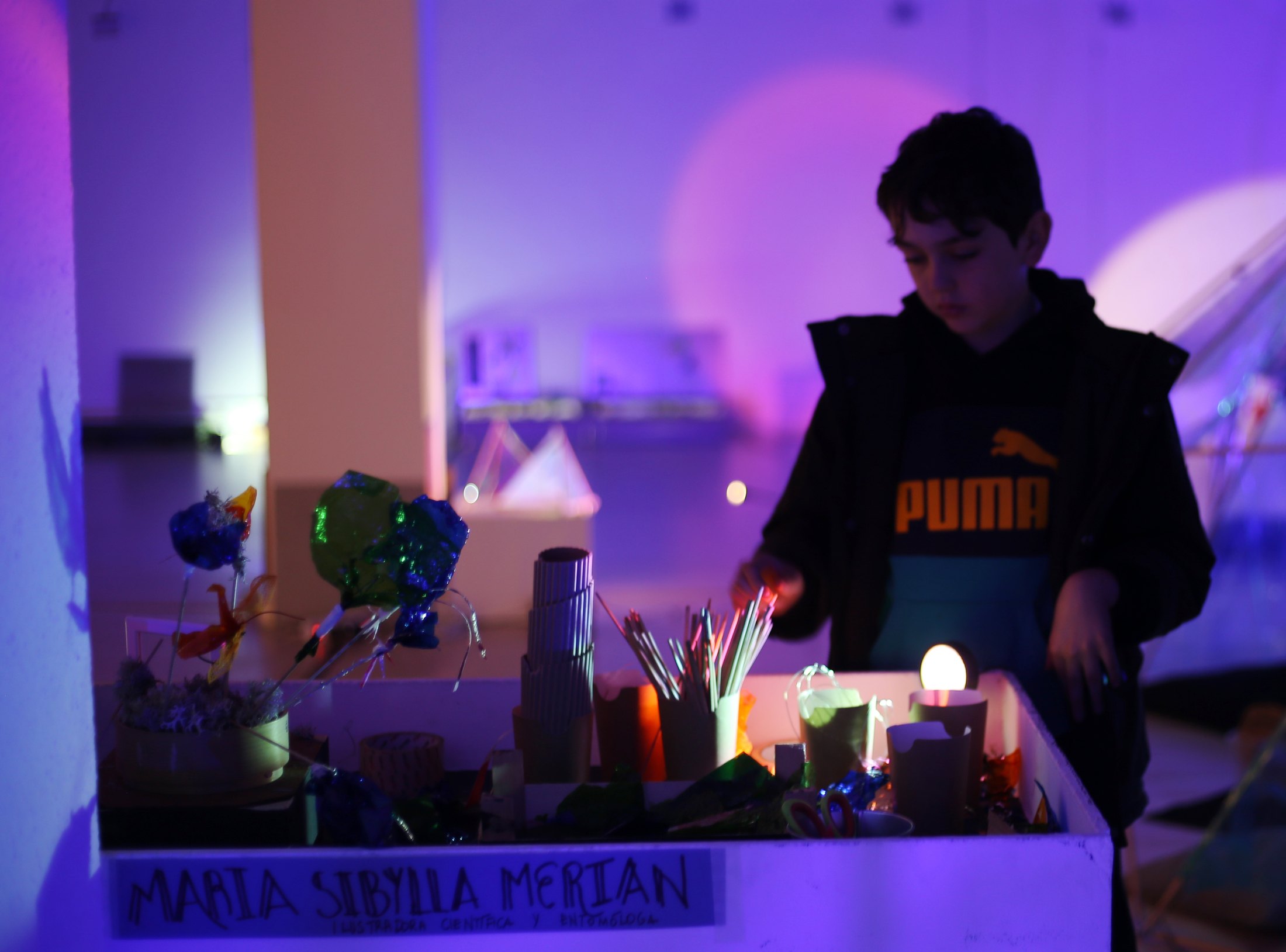 Mujer y Ciencia · 02 · Luz, color y patrones · imagen 18.