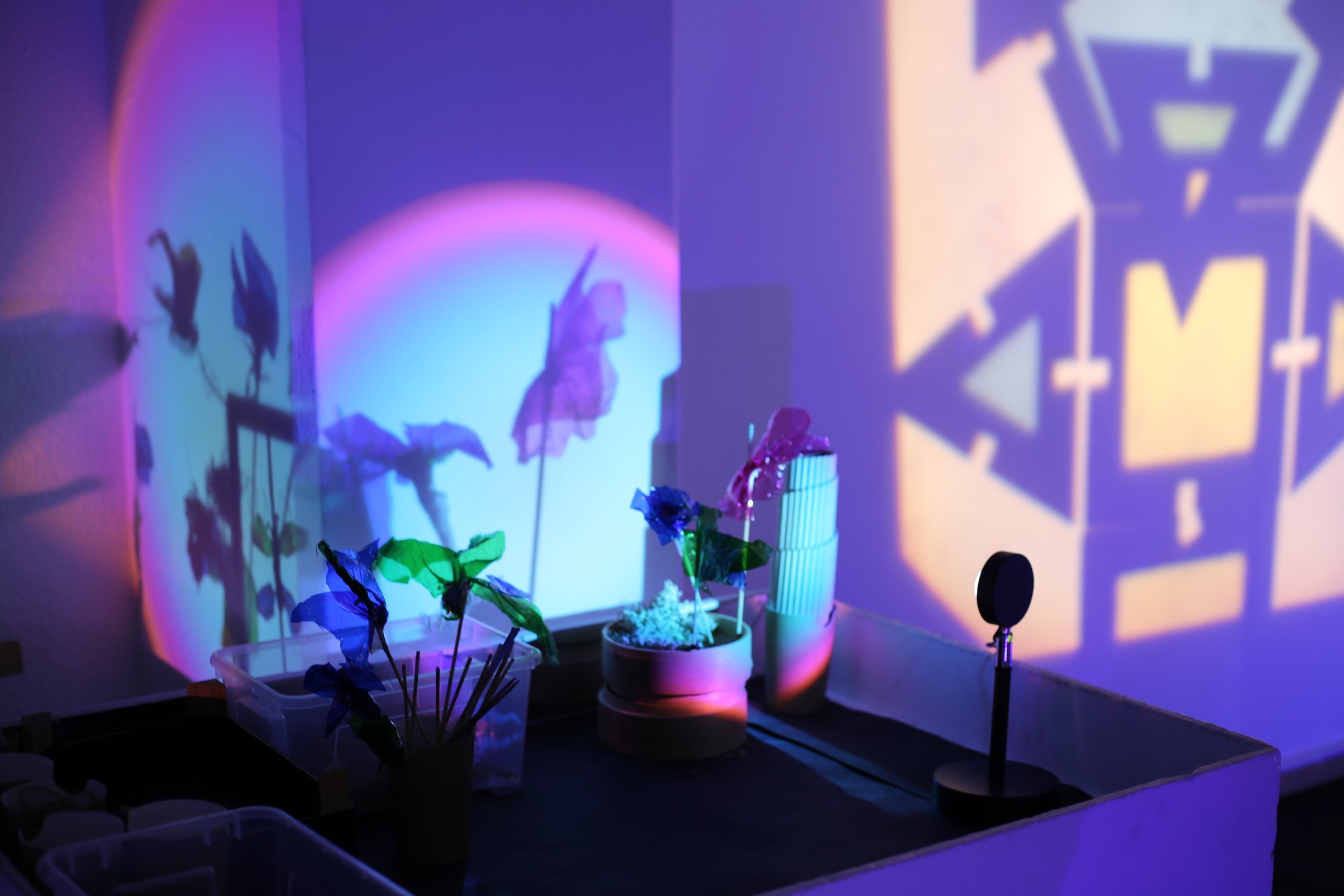 Mujer y Ciencia · 02 · Luz, color y patrones · imagen 21.