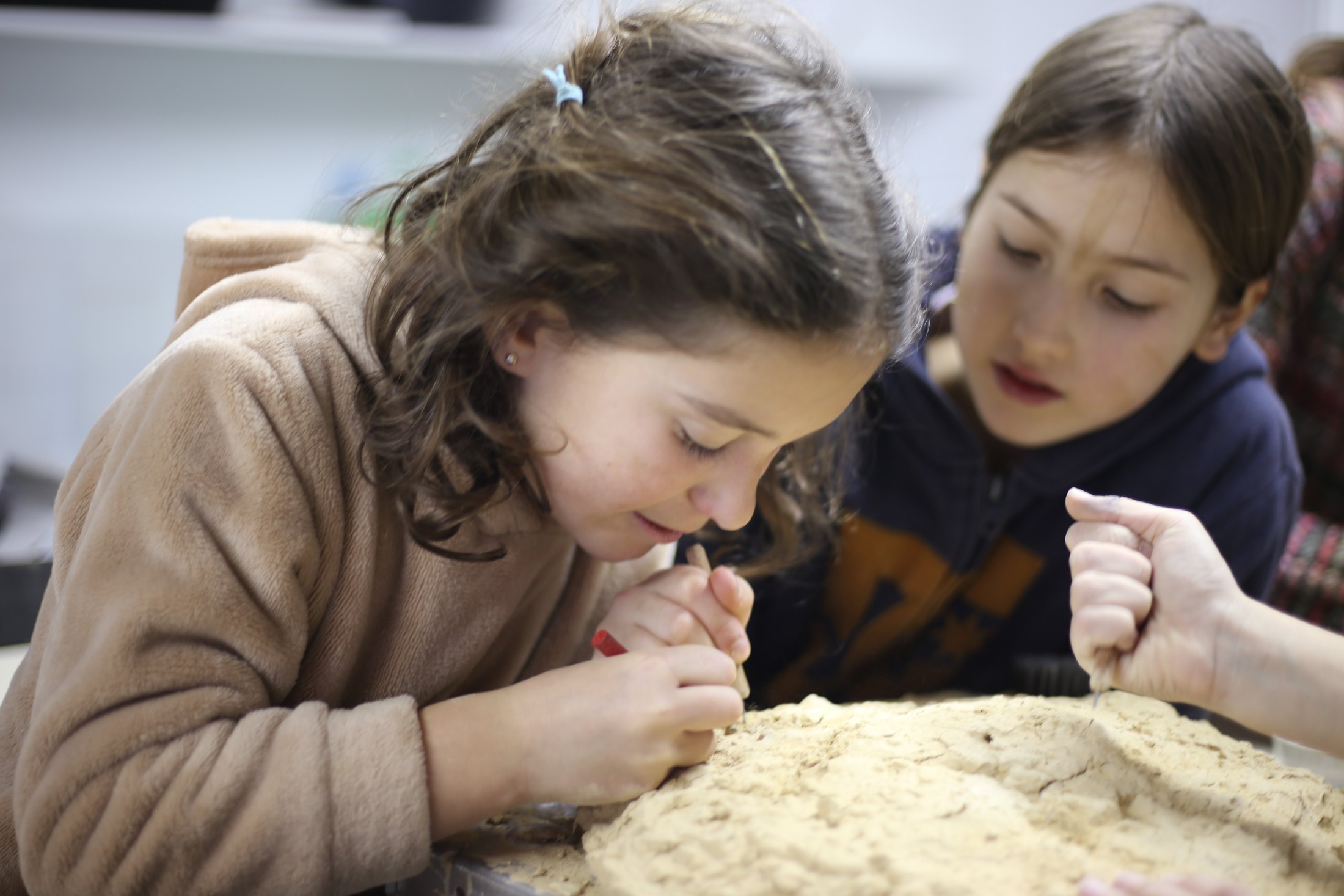 Mujer y Ciencia · 03 · Excavar el pasado · imagen 42.