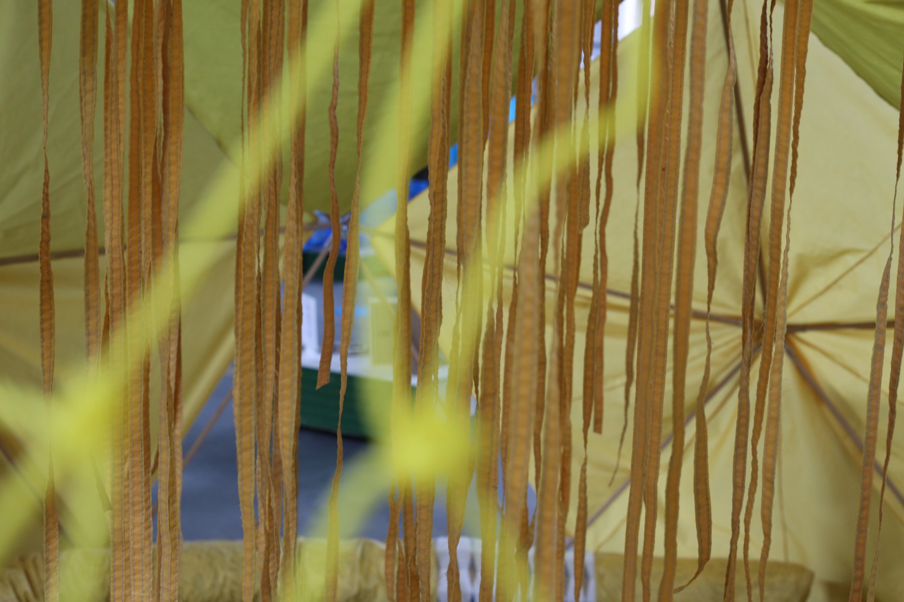 Detalle de las estructuras y superficies de juego, imagen 4.