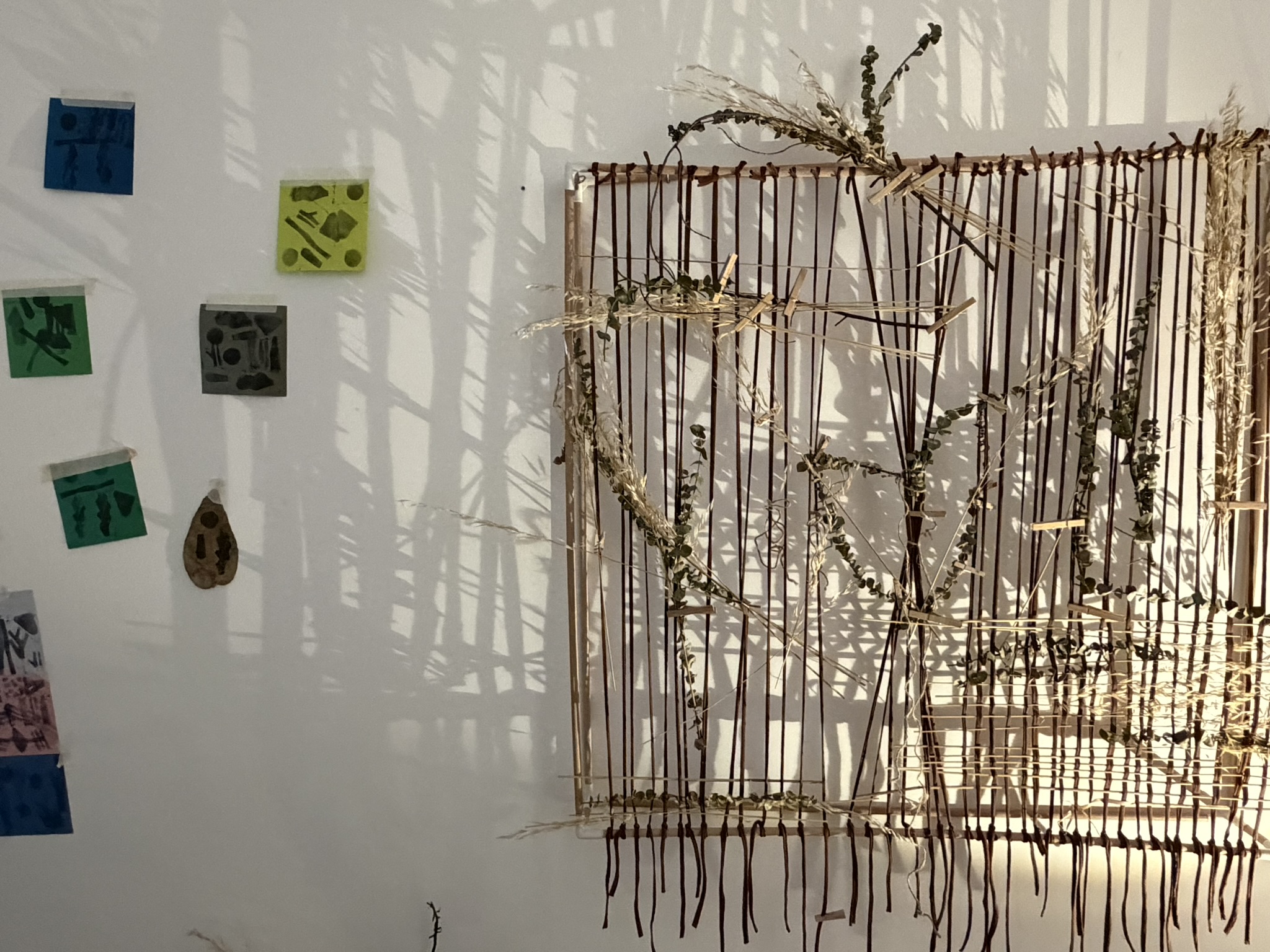 Terra · registro 12