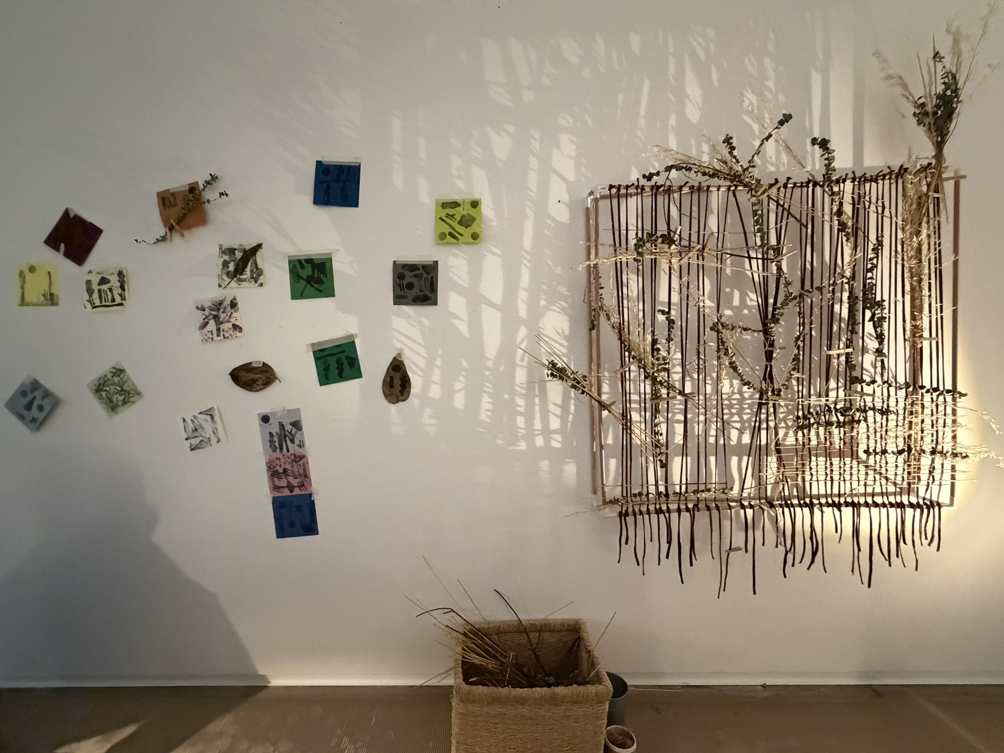 Terra · registro 19